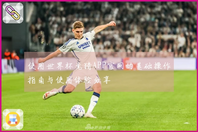 使用世界杯竞猜APP官网的基础操作指南与使用体验分享