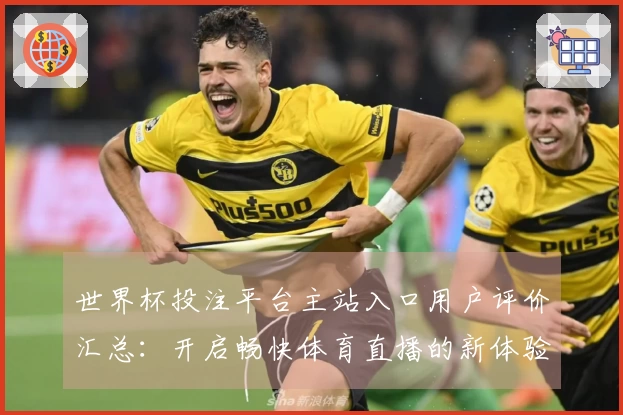 世界杯投注平台主站入口用户评价汇总：开启畅快体育直播的新体验