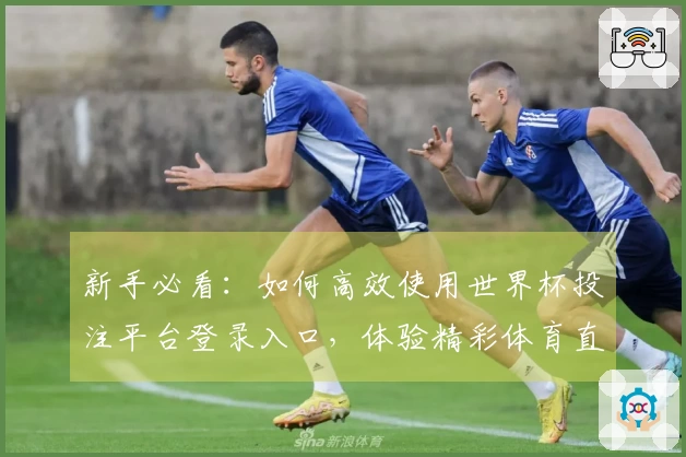 新手必看：如何高效使用世界杯投注平台登录入口，体验精彩体育直播