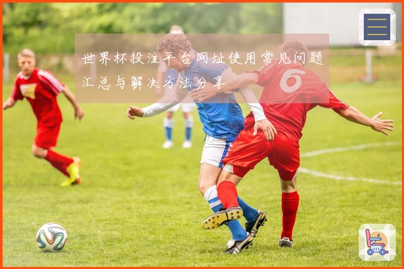 世界杯投注平台网址使用常见问题汇总与解决方法分享