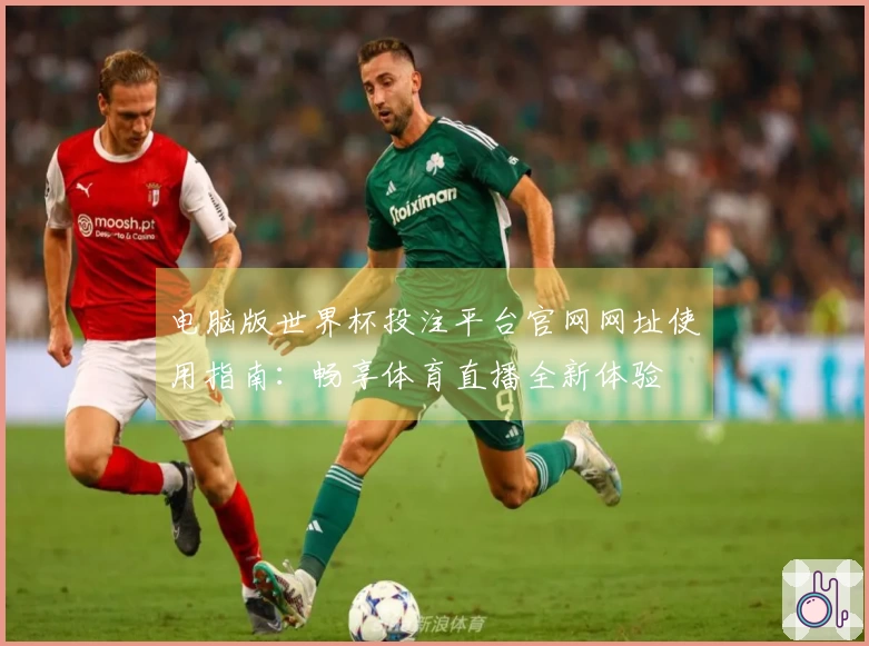 电脑版世界杯投注平台官网网址使用指南：畅享体育直播全新体验