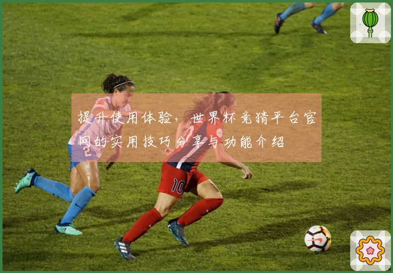 提升使用体验，世界杯竞猜平台官网的实用技巧分享与功能介绍