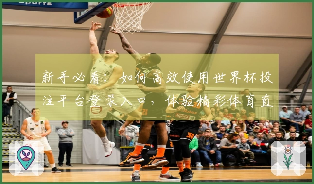 新手必看：如何高效使用世界杯投注平台登录入口，体验精彩体育直播